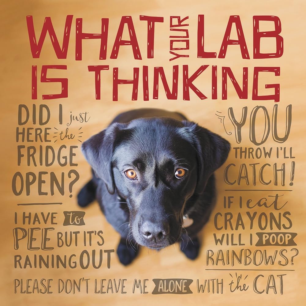 What Your Lab is Thinking