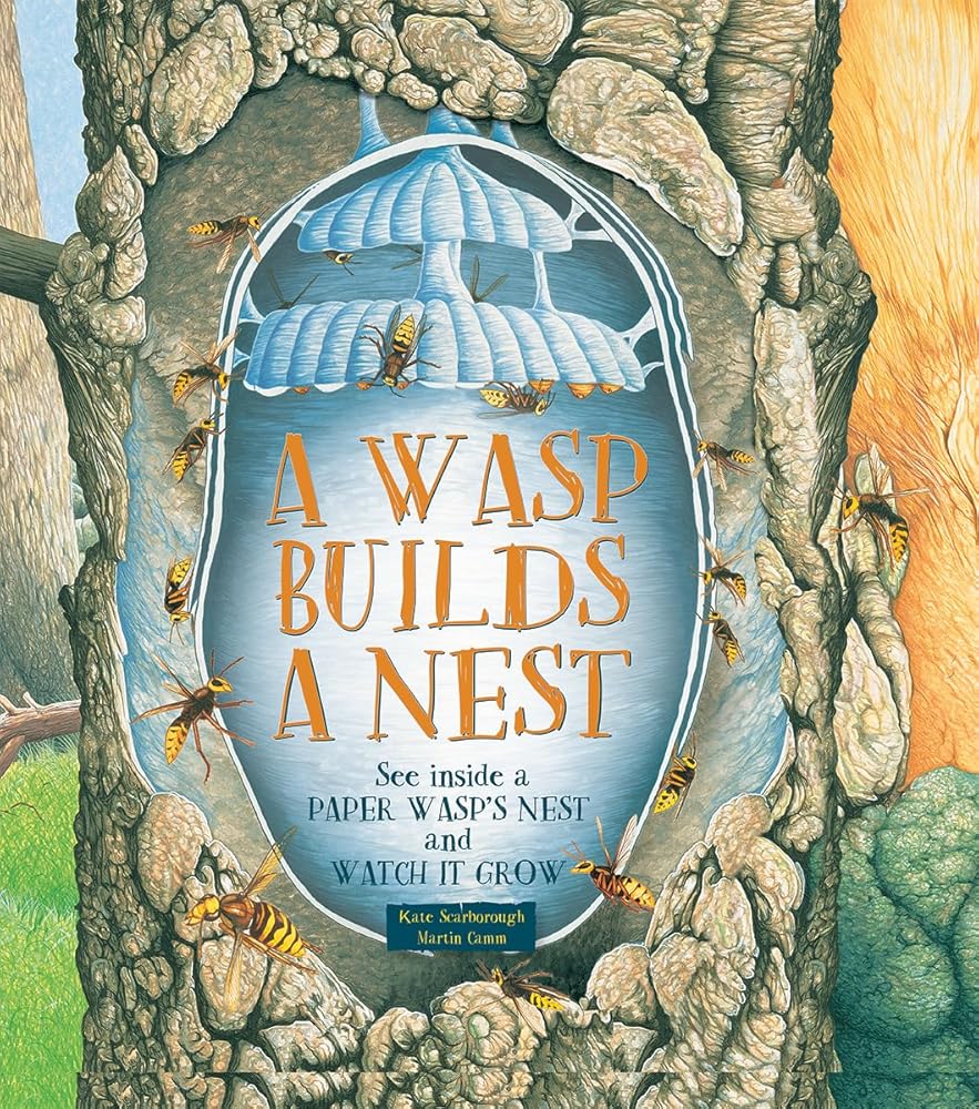 A Wasp Builds a Nest: See Inside a Paper Wasp's Nest and Watch It Grow