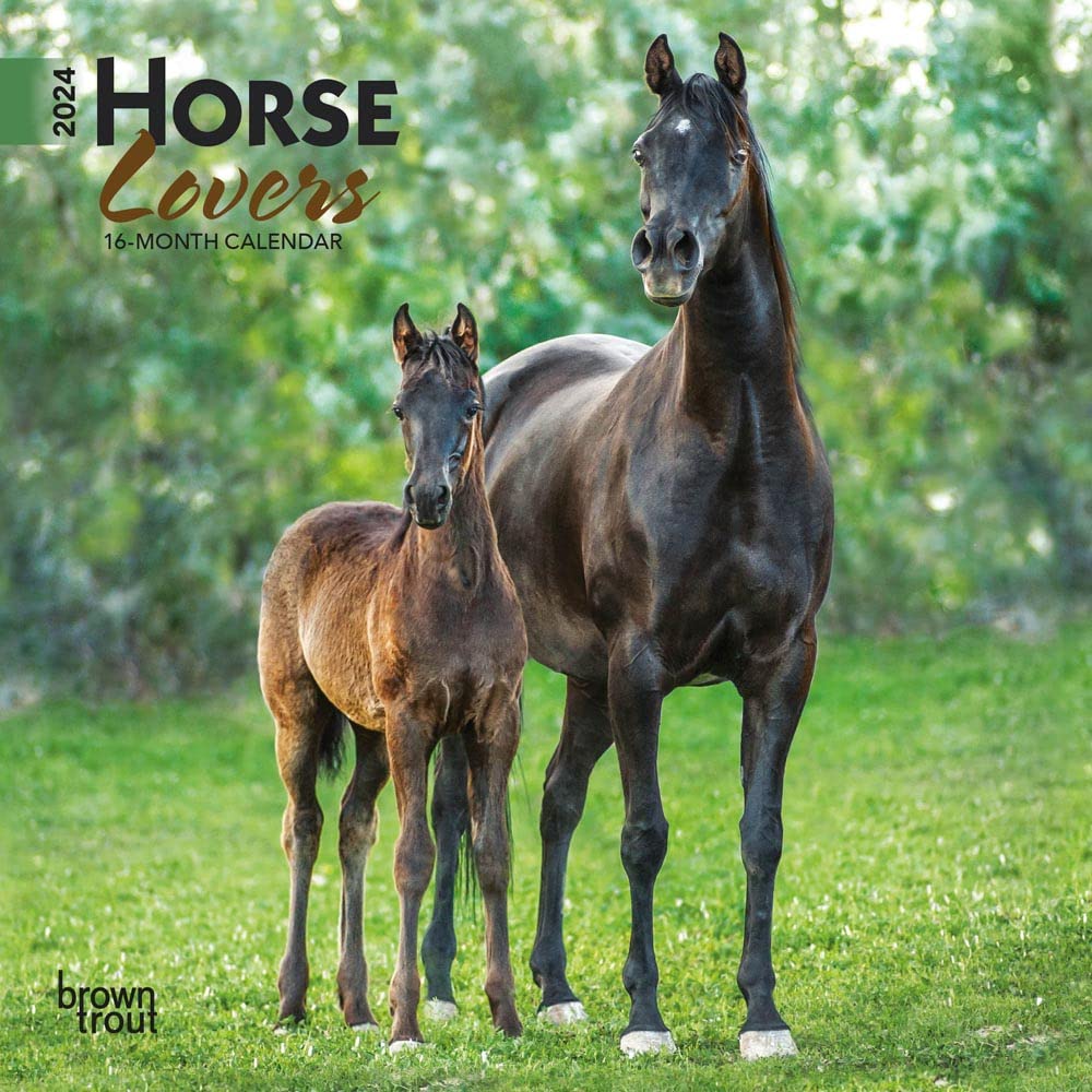 Horse Lovers | 2024 7 x 7 Inch Monthly Mini Wall Calendar | BrownTrout | Animals Equestrian