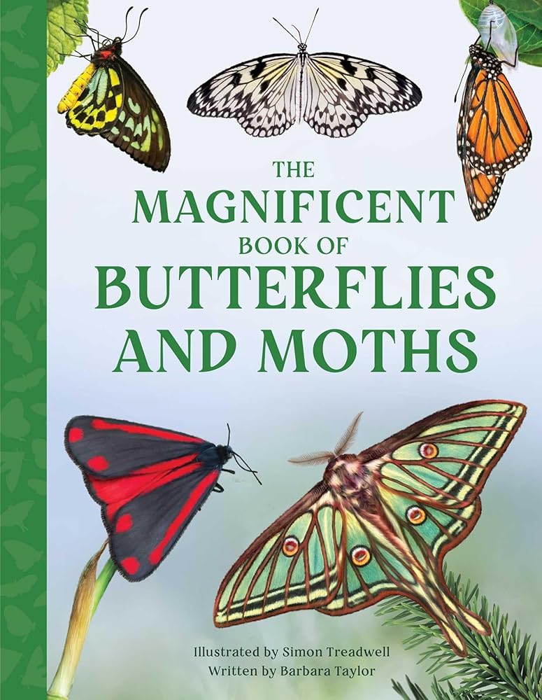 The Magnificent Book of Butterflies and Moths
