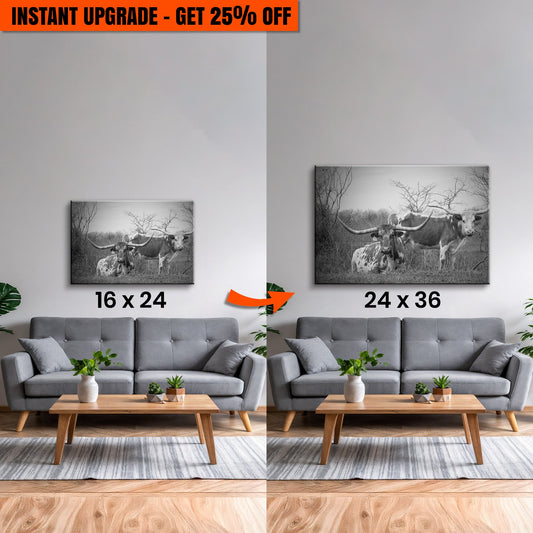 Upgrade Your 24x16 Inches 'Monochrome Texas Longhorn Cattle' Canvas To 36x24 Inches
