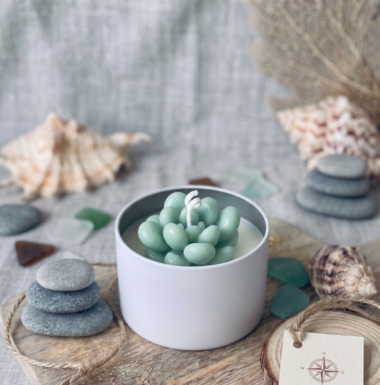 Seafoam Bubble Succulent Candle