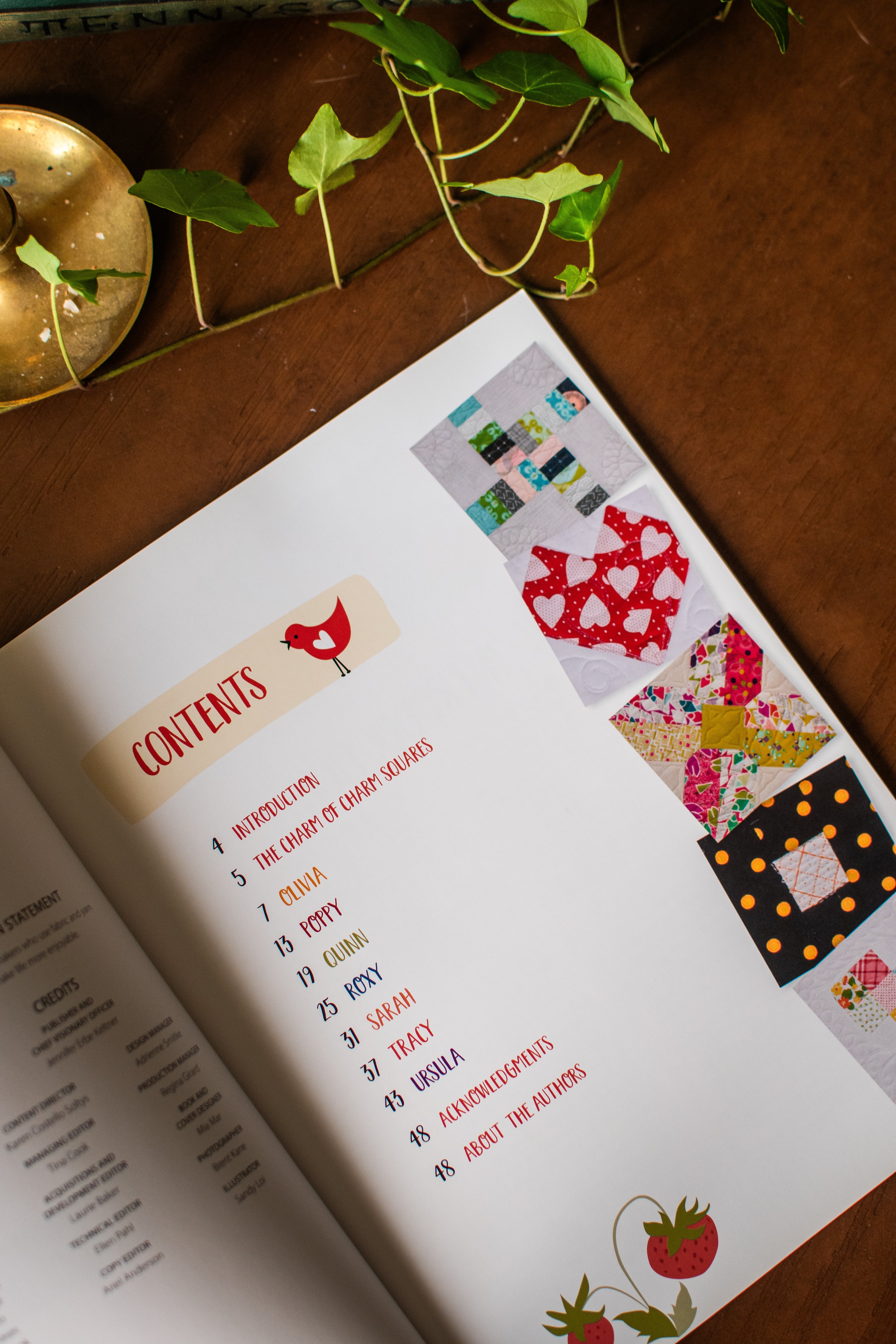 That Patchwork Place Third Time's a Charm Quilting Book