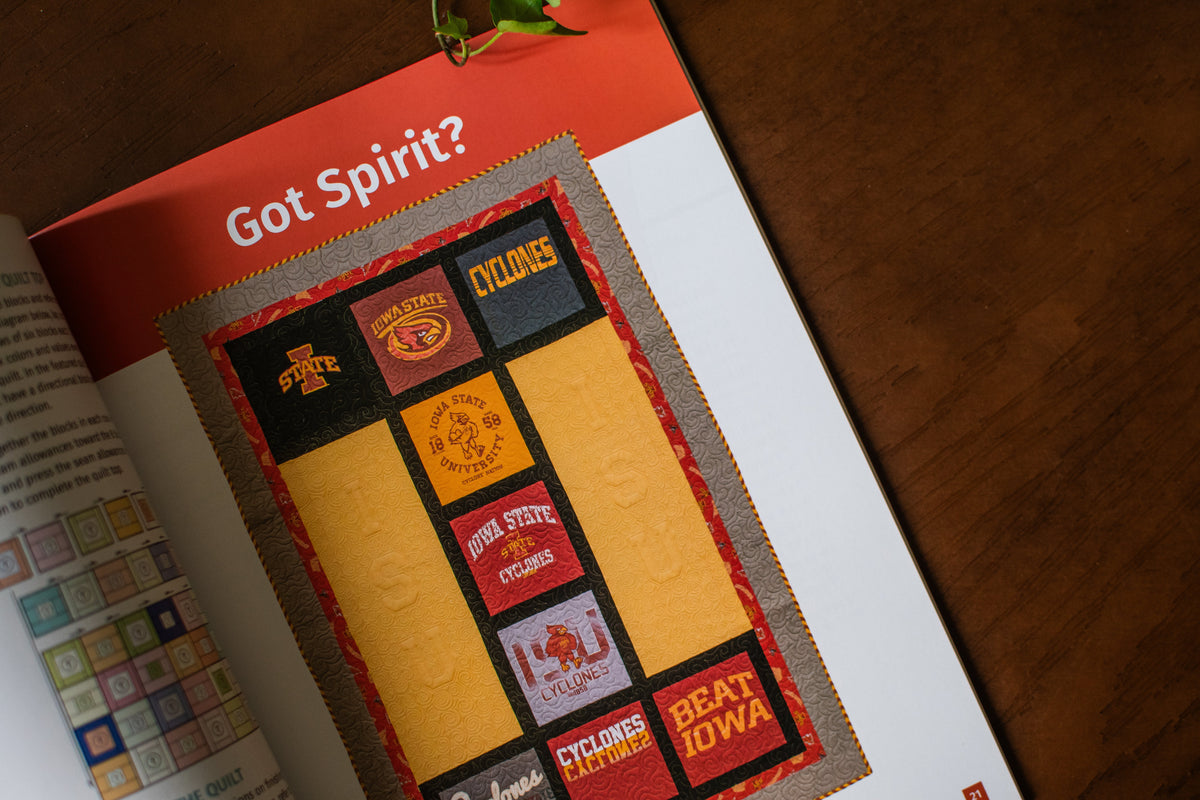 Terrific T-Shirt Quilts: Turn Tees into Treasured Quilts