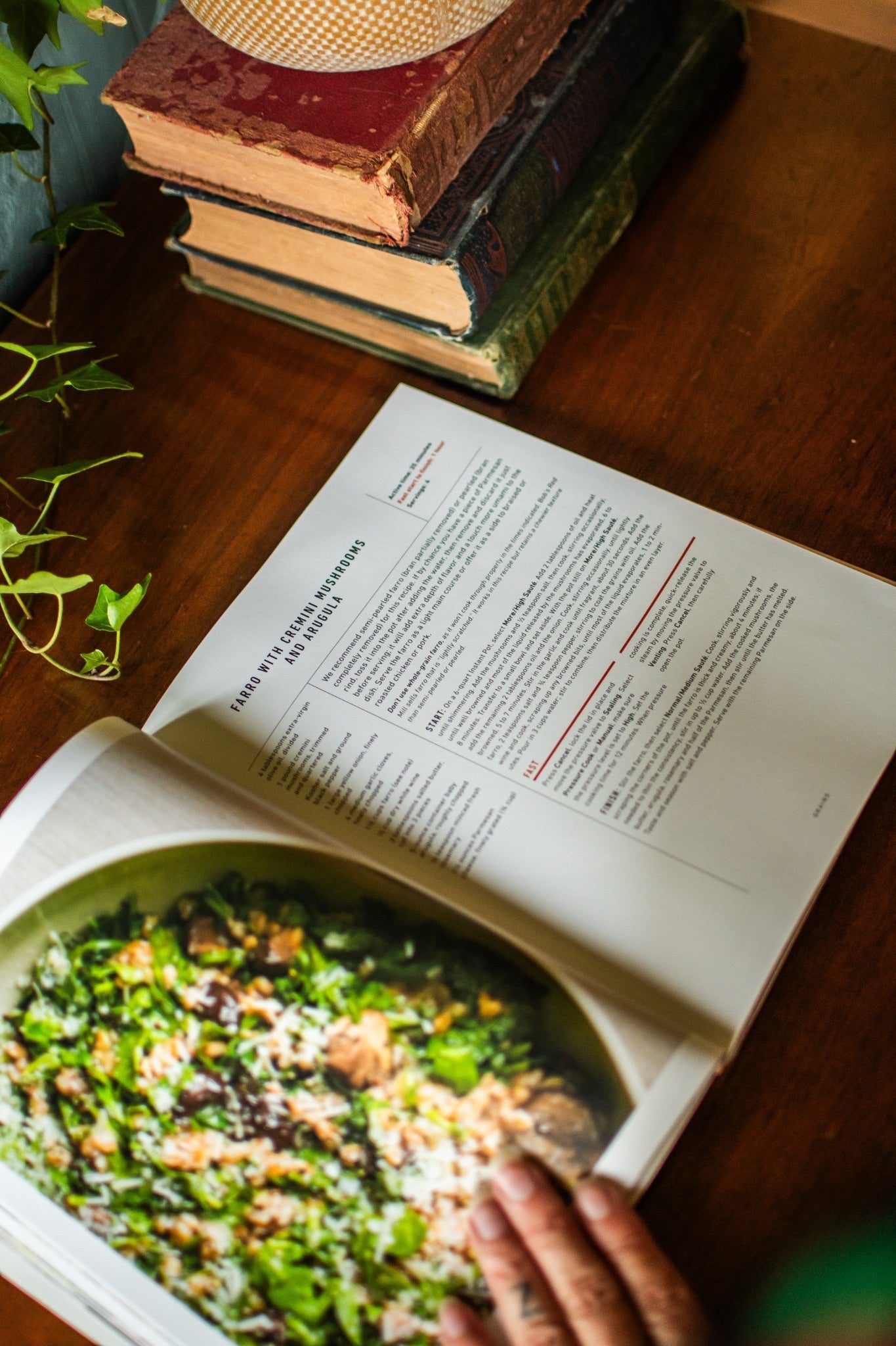 Milk Street Instant Pot: Bold, Fast, Fresh -- A Revolution of Flavor in an Instant