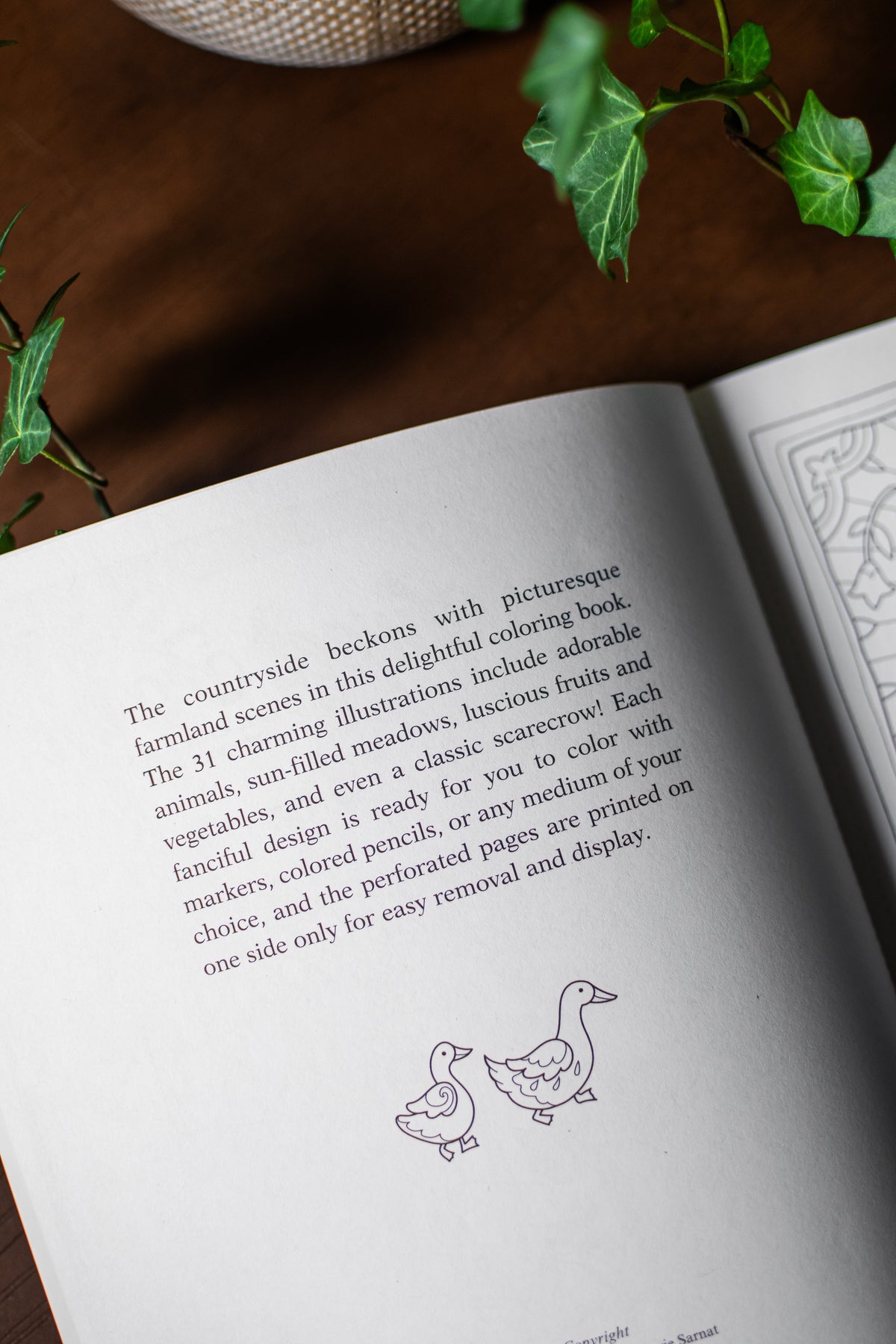Farm Sweet Farm Coloring Book