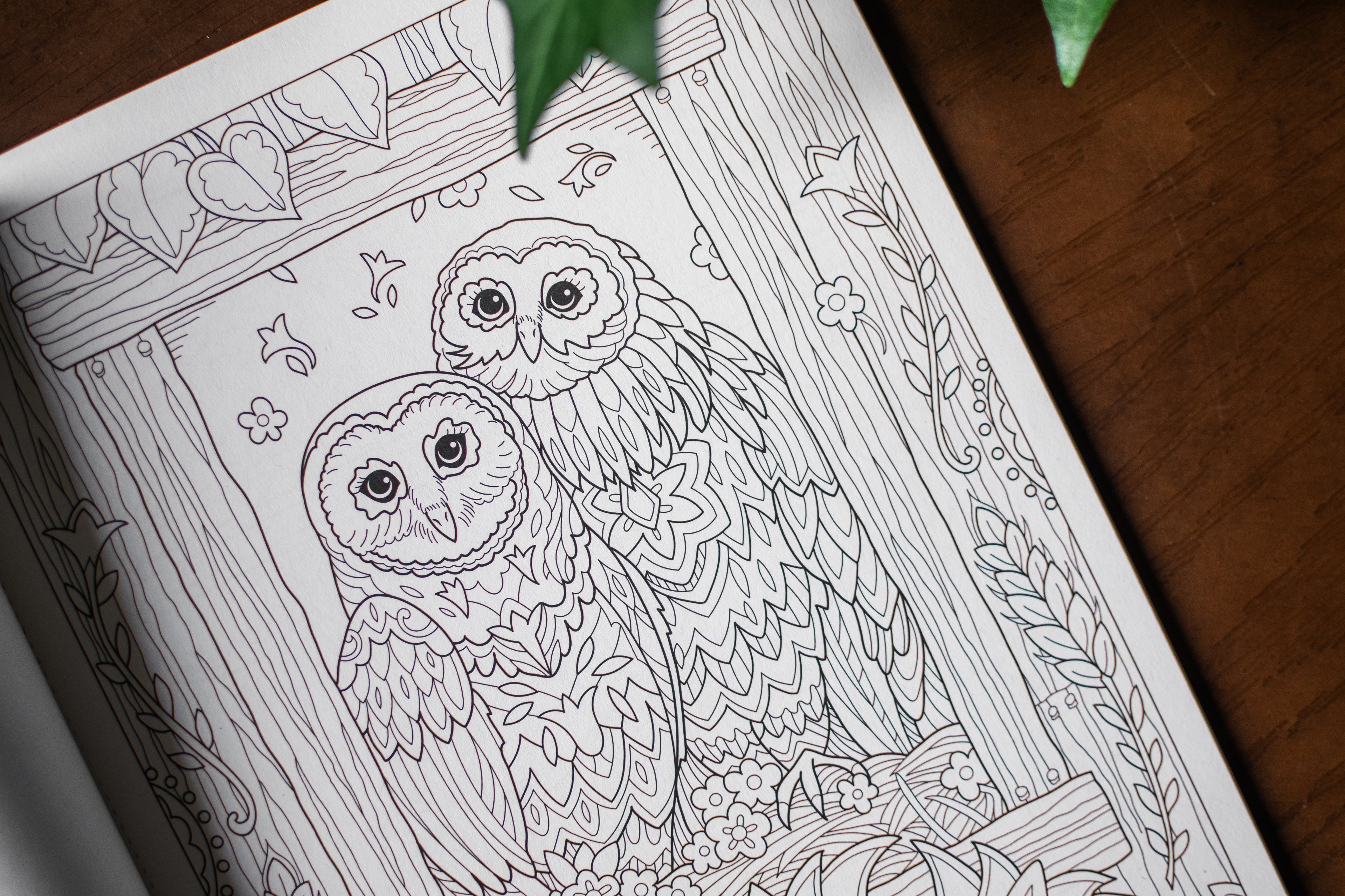 Farm Sweet Farm Coloring Book