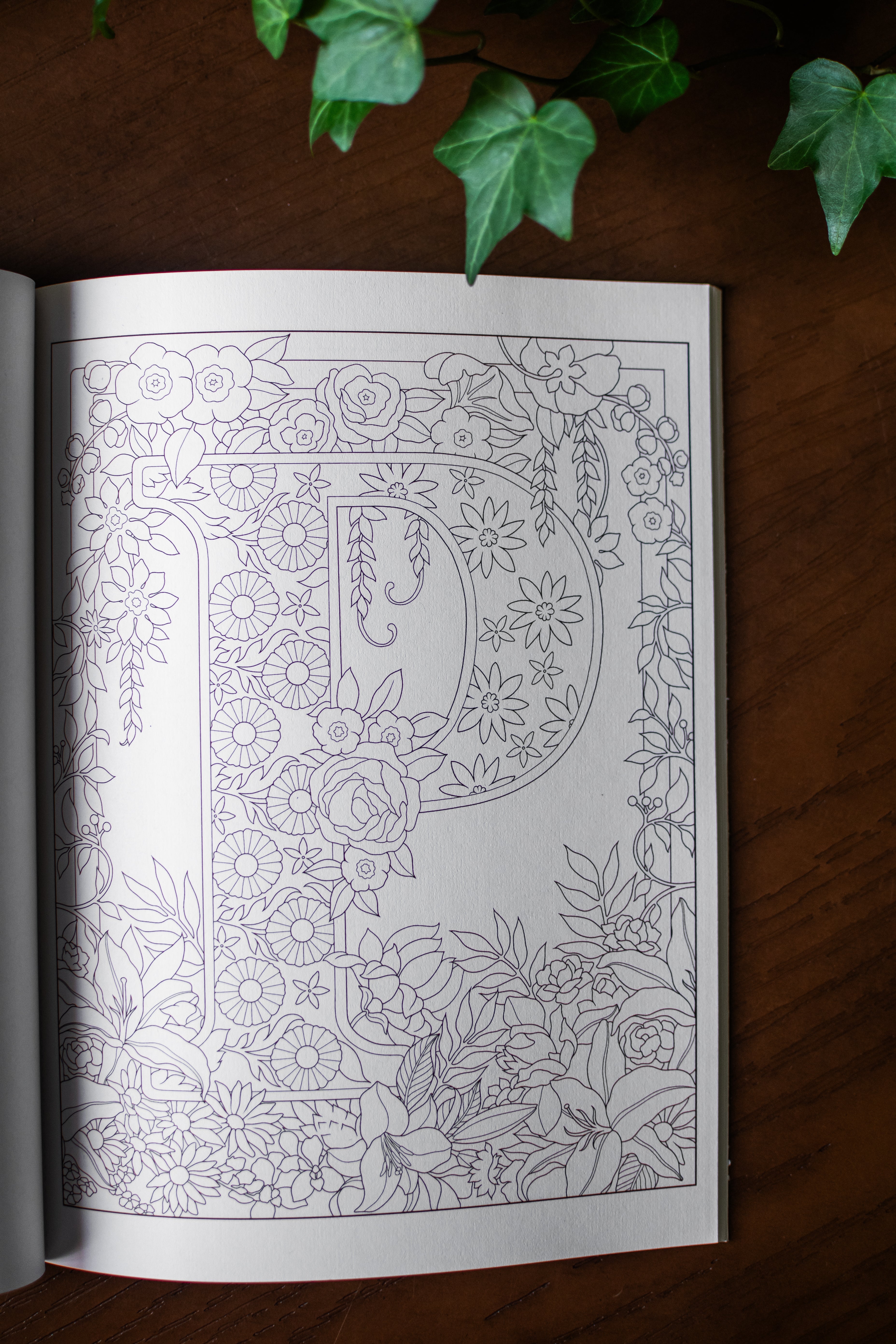 Creative Haven Beautiful Floral Alphabet Designs Coloring Book