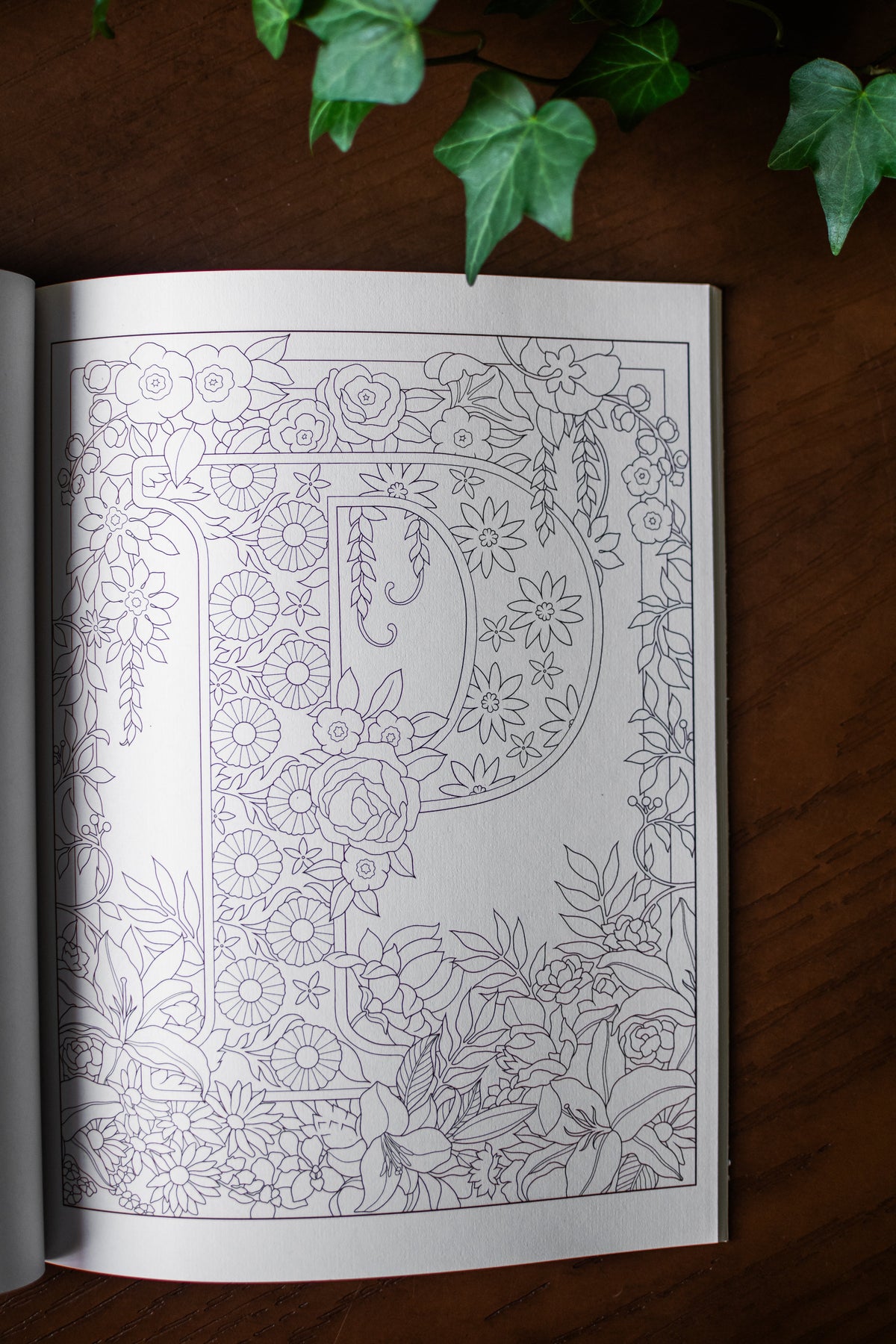 Creative Haven Beautiful Floral Alphabet Designs Coloring Book
