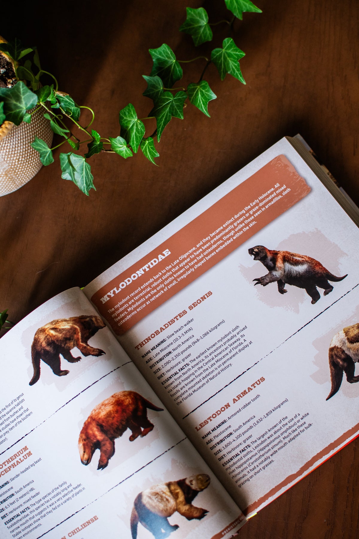 Prehistoric World: Over 1,200 Incredible Mammals and Discoveries from the Mesozoic and Cenozoic