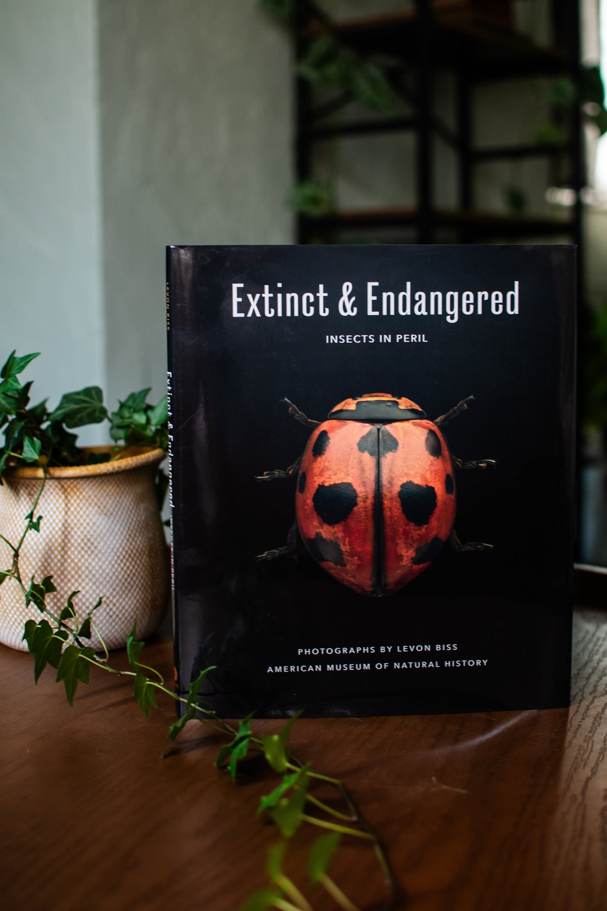 Extinct & Endangered: Insects in Peril