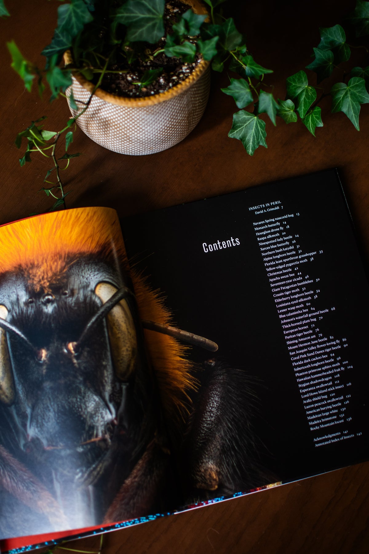 Extinct & Endangered: Insects in Peril