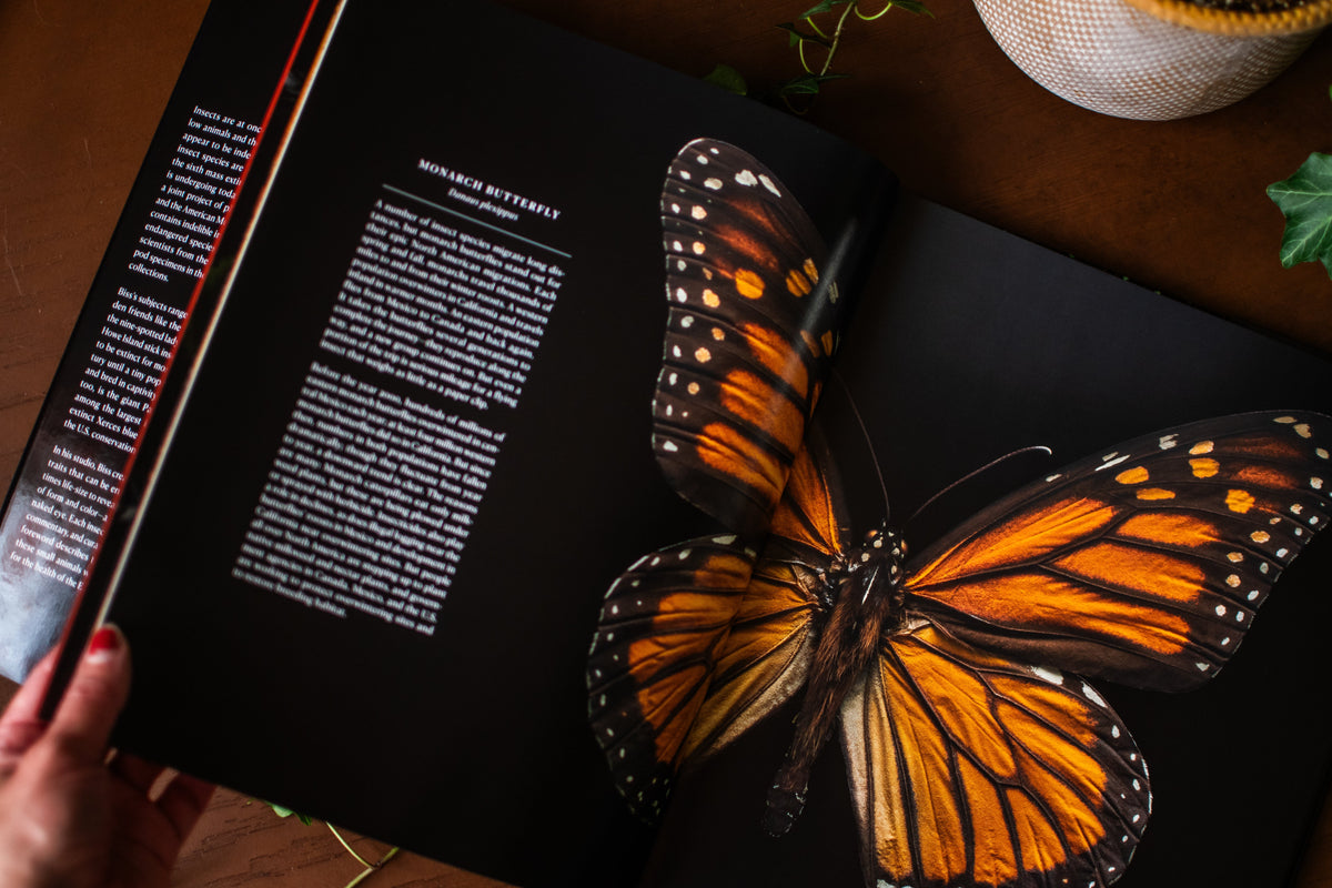 Extinct & Endangered: Insects in Peril