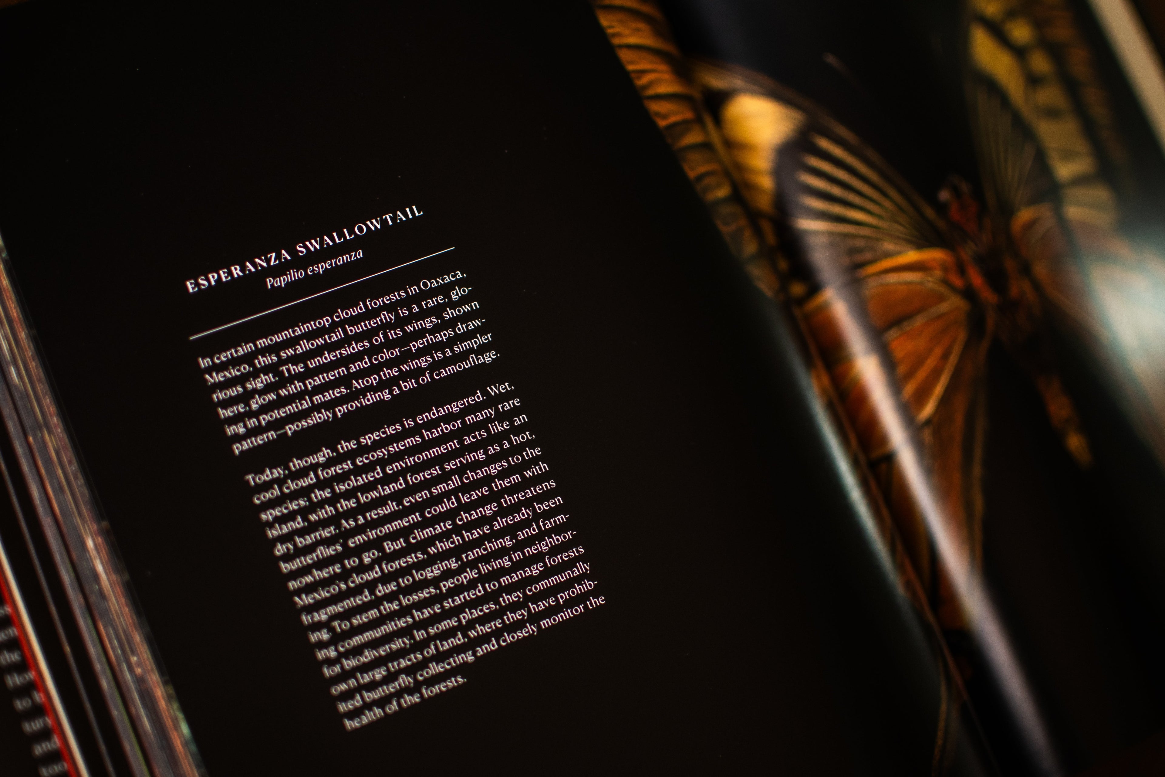 Extinct & Endangered: Insects in Peril