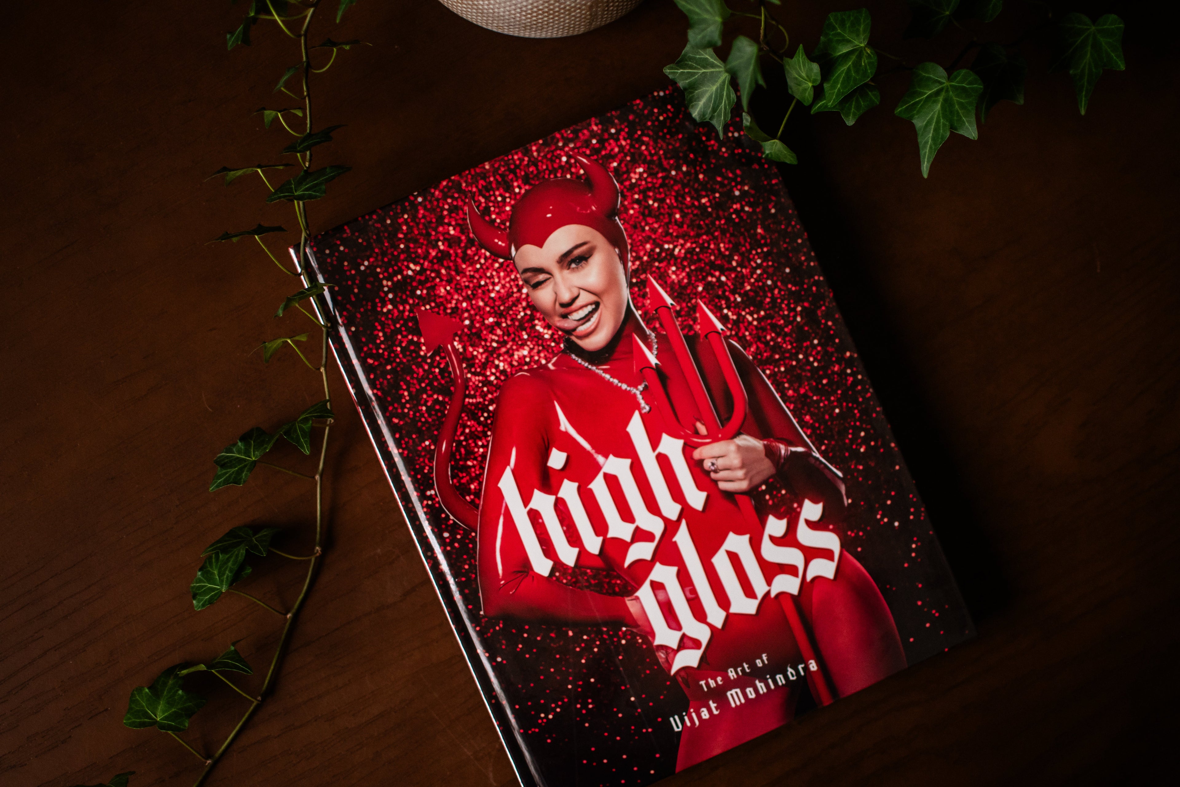 High Gloss: The Art of Vijat Mohindra