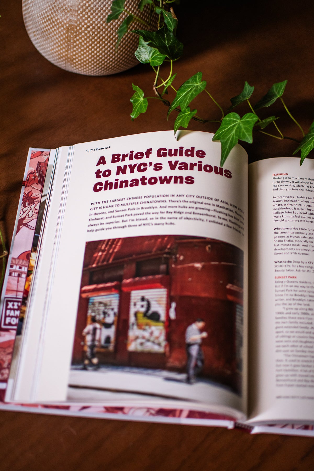 Xi'an Famous Foods: The Cuisine of Western China, from New York's Favorite Noodle Shop