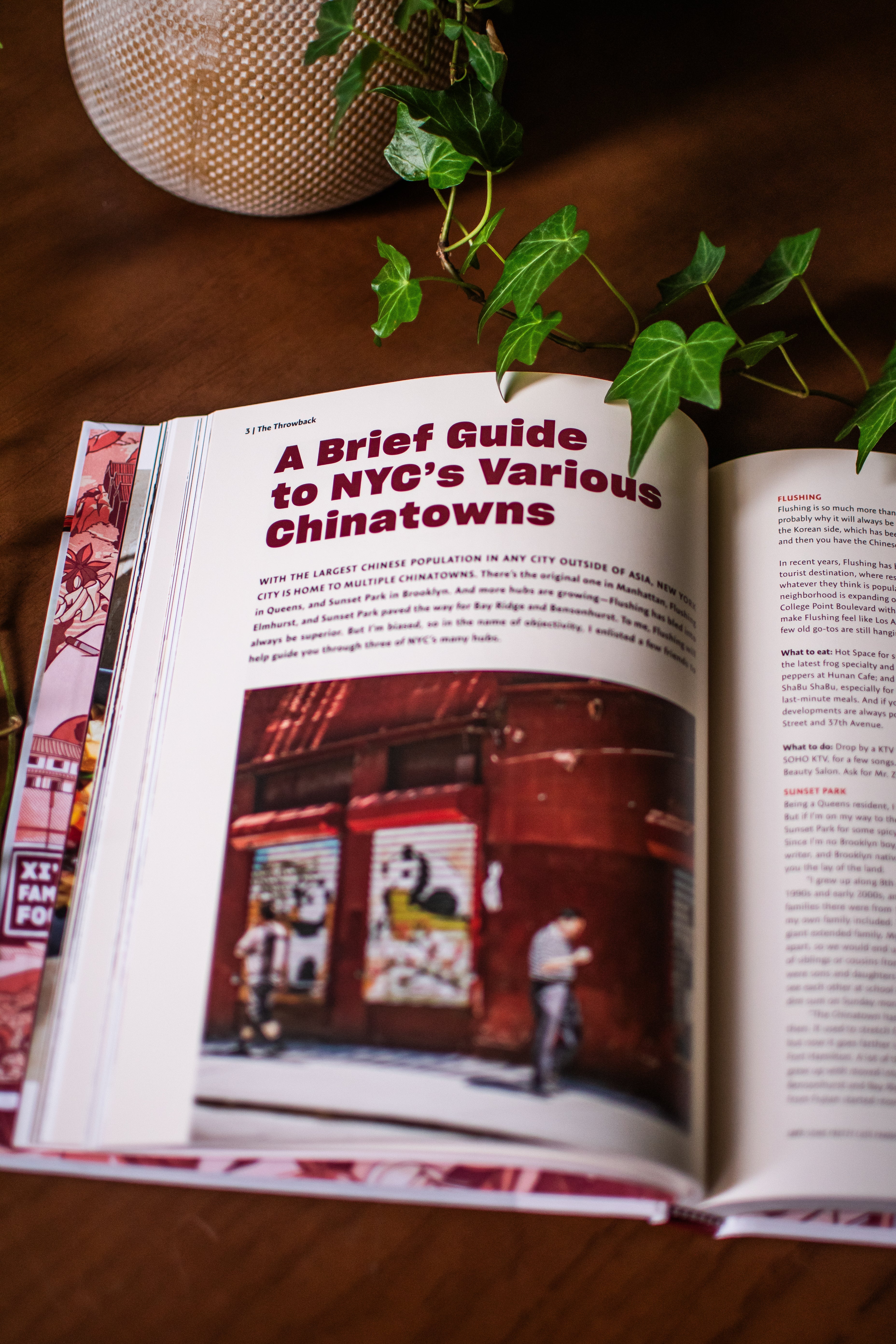 Xi'an Famous Foods: The Cuisine of Western China, from New York's Favorite Noodle Shop