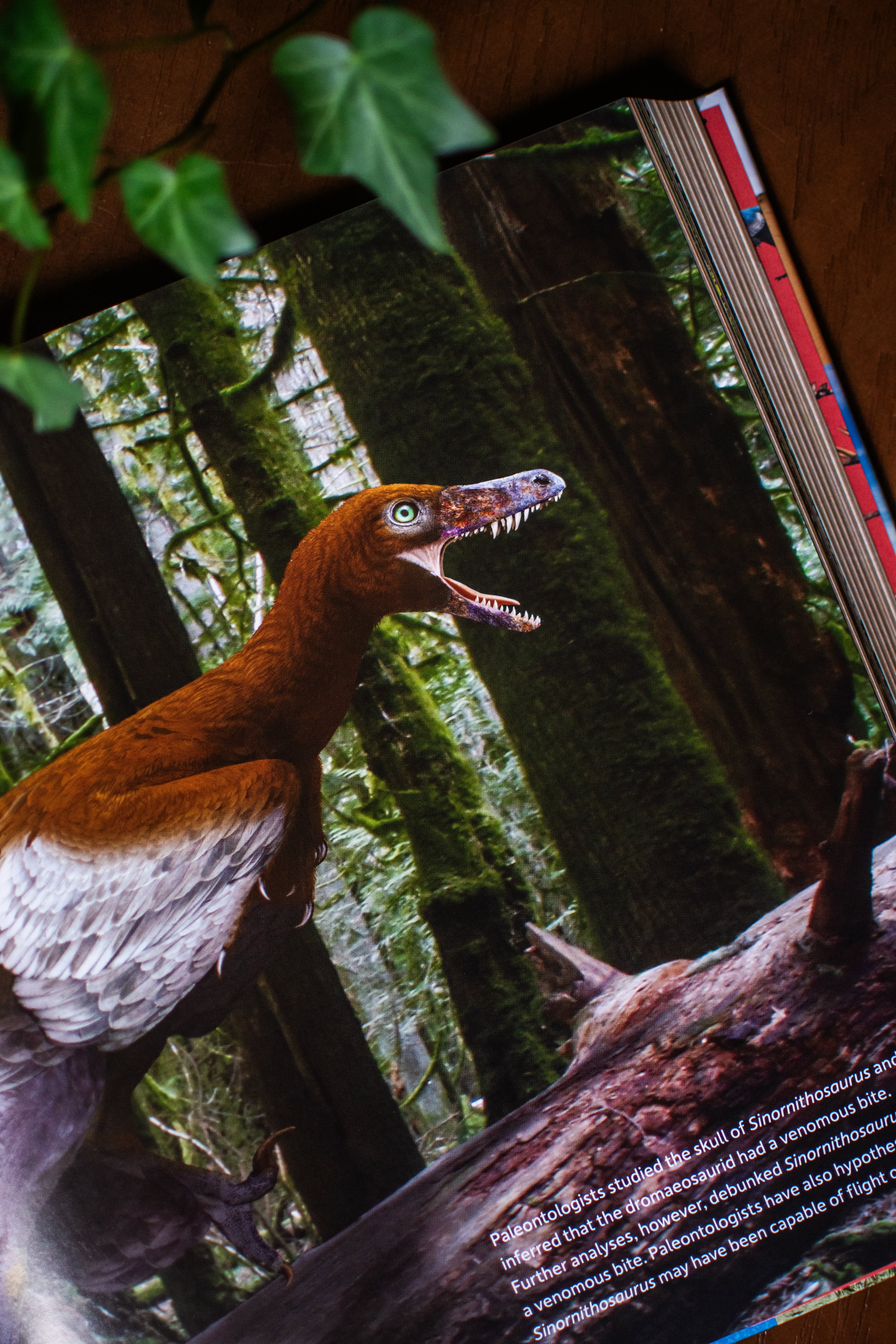 Dinosaur World: Over 1,200 Amazing Dinosaurs, Famous Fossils, and the Latest Discoveries from the Prehistoric Era