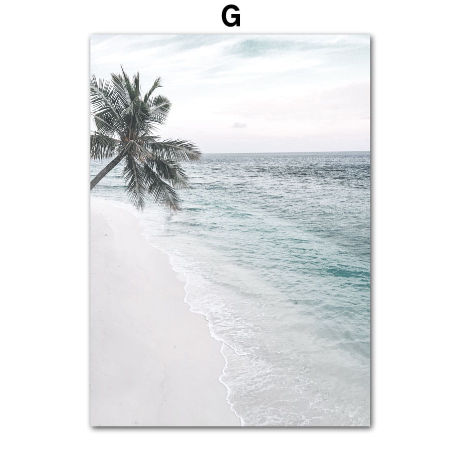 Dandelion Dolphin Beach Flower Canvas Wall Art