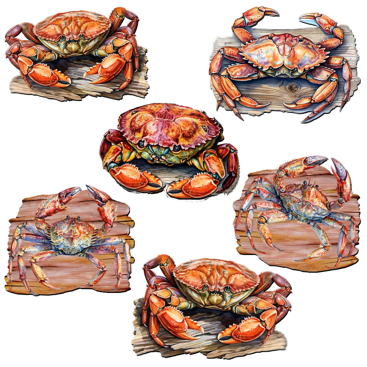 Crabs of the Wild Decorative Eco Wood Magnets Set of 6 by G. Debrekht - Wildlife Decor - 8090121G-S6