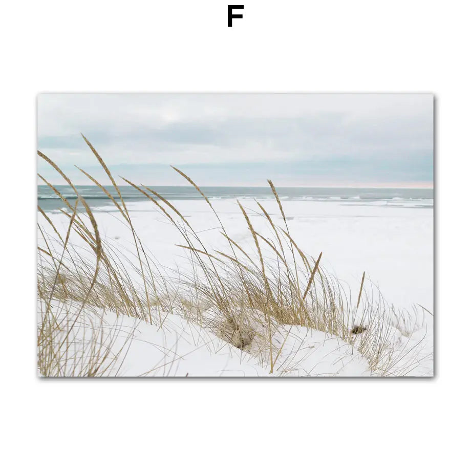 Dandelion Dolphin Beach Flower Canvas Wall Art