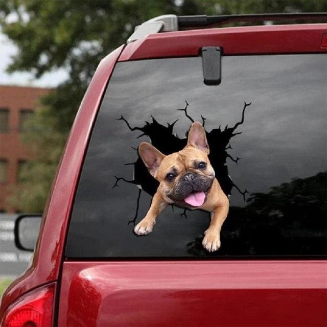 Funny Dog Head In The Crack Vinyl Car Funny Dog Head In The Crack Vinyl Car Stickers Decals Motorcycle Accessories Car-window Decorative Goods Broken Glass Sticker Car Stickers Decals Motorcycle Accessories Car-window Decorative Goods Pvc Car Sticker