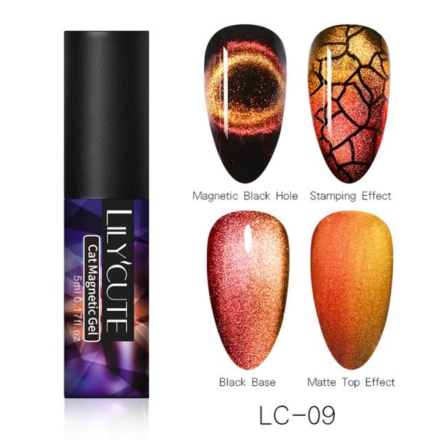 Magnetic Nail Gel Polish UV LED Popular Colorful New Fashion Charming Effect Luxury Drawing Design For Women and Girls