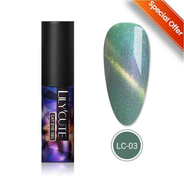 Magnetic Nail Gel Polish UV LED Popular Colorful New Fashion Charming Effect Luxury Drawing Design For Women and Girls
