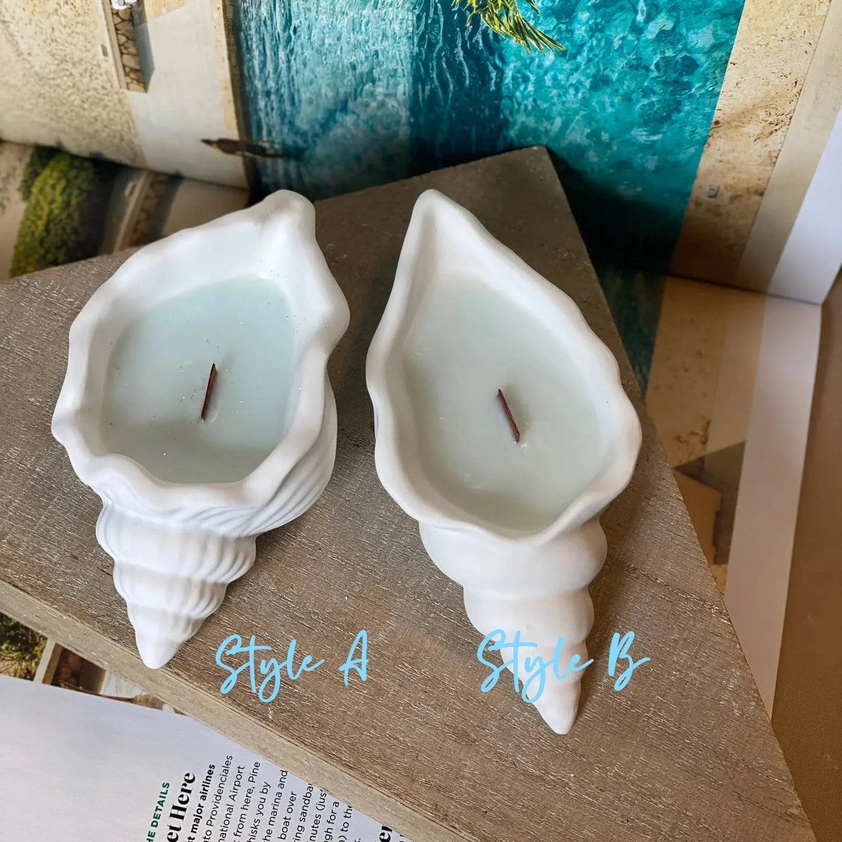 Ocean's Whisper Sea Shell Candle | Jesmonite Vessel