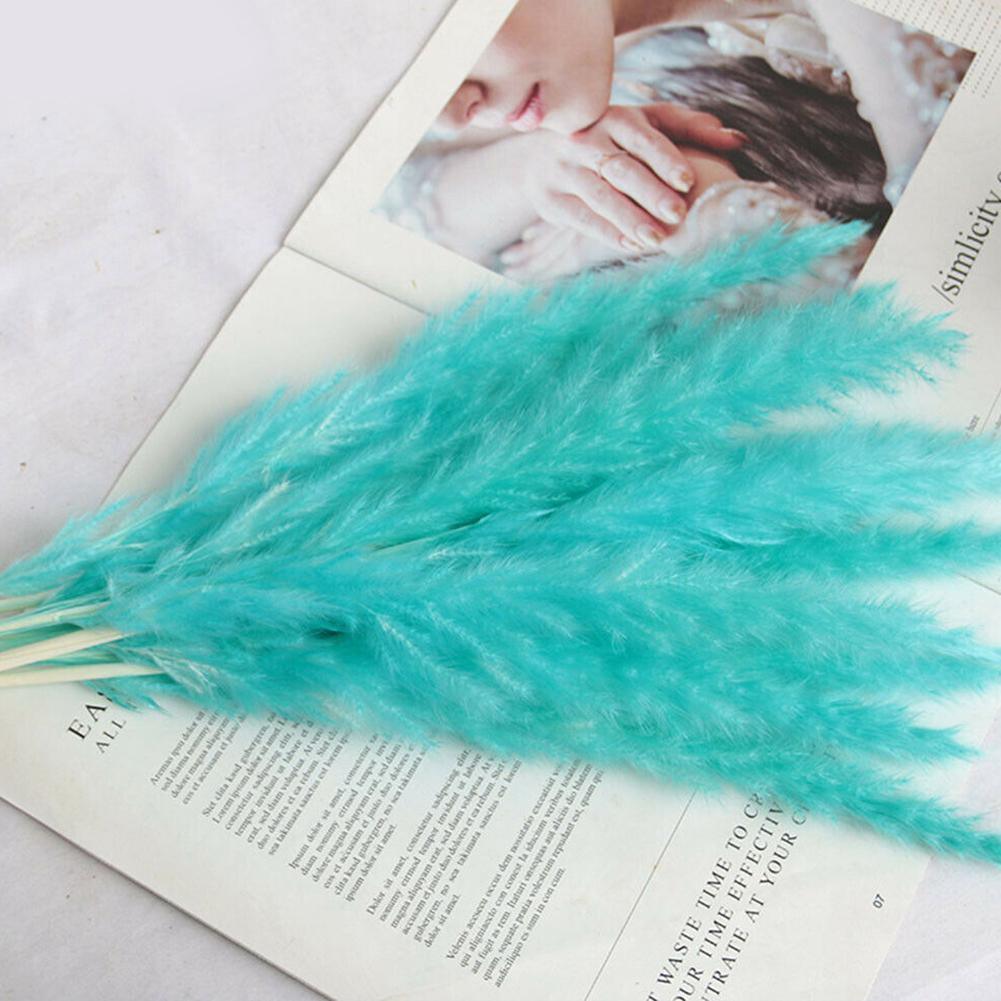 Real Dried Grass Reed Flower Natural Dry Small Bulrush Bouquet Pampas Reeds Home Decoration Wedding Decor Pompass Grass Branches for Vase Artificial Grass Room Décor Wedding Decorations
