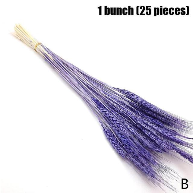 Real Dried Grass Reed Flower Natural Dry Small Bulrush Bouquet Pampas Reeds Home Decoration Wedding Decor Pompass Grass Branches for Vase Artificial Grass Room Décor Wedding Decorations
