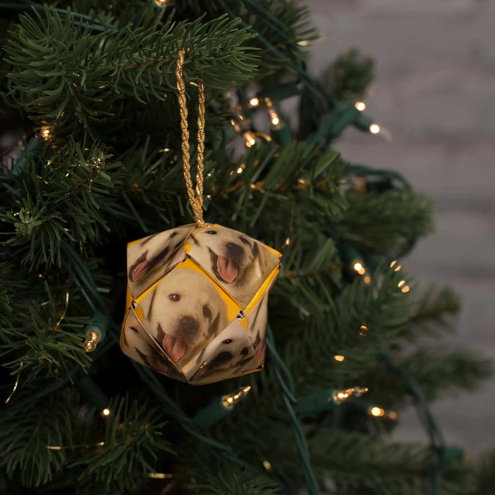A golden string hangs from a recycled dog food paper christmas ornament shaped like a dodecahedron with yellow labs