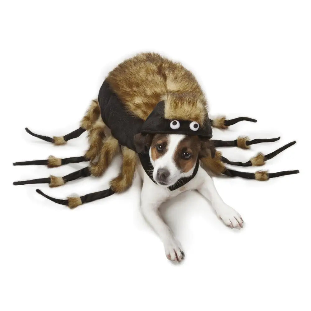 A dog wearing a plush brown and black fuzzy leg zack & zoey tarantula dog costume